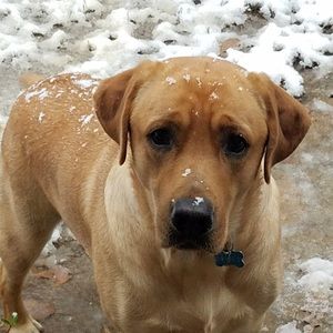 Meet your Posher, Ava grace